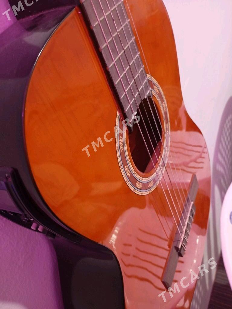 Gitara tazeje gyssagly - Mary - img 2