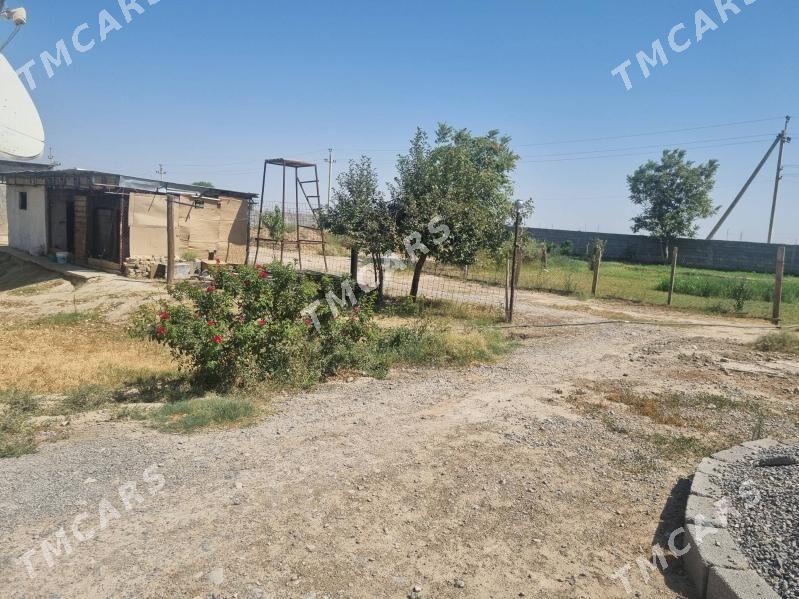 Satlyk jaý Anew Magtymguly - Анев - img 2
