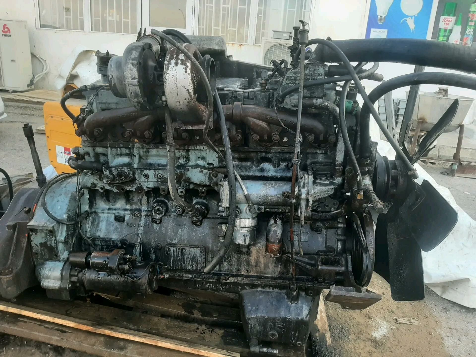 Camens mator 160 000 TMT - Ak bugdaý etraby - img 4