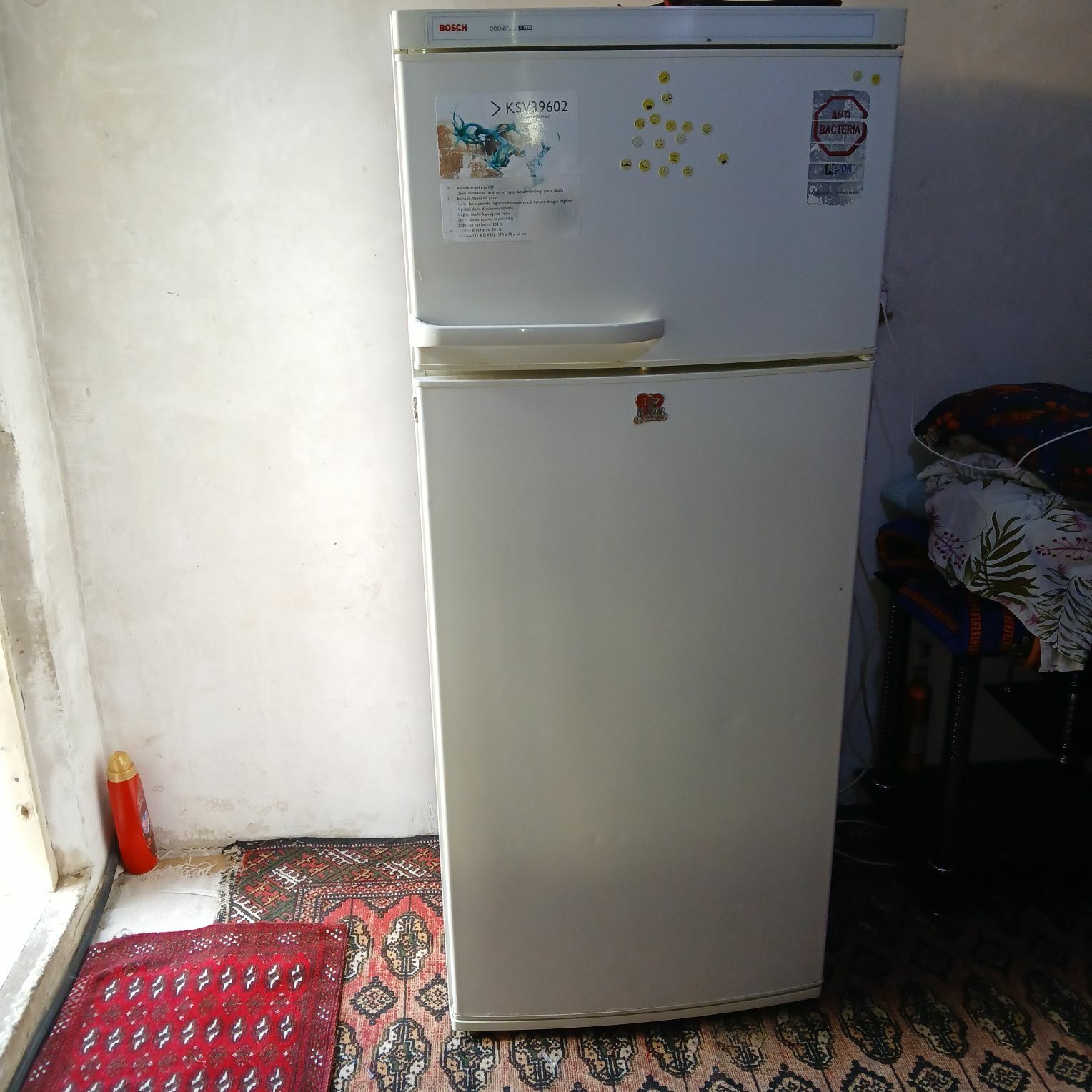 oy goslary - Aşgabat - img 3