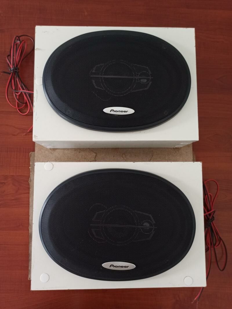 PIONEER KOLONKA 300 TMT - Sakarçäge - img 2