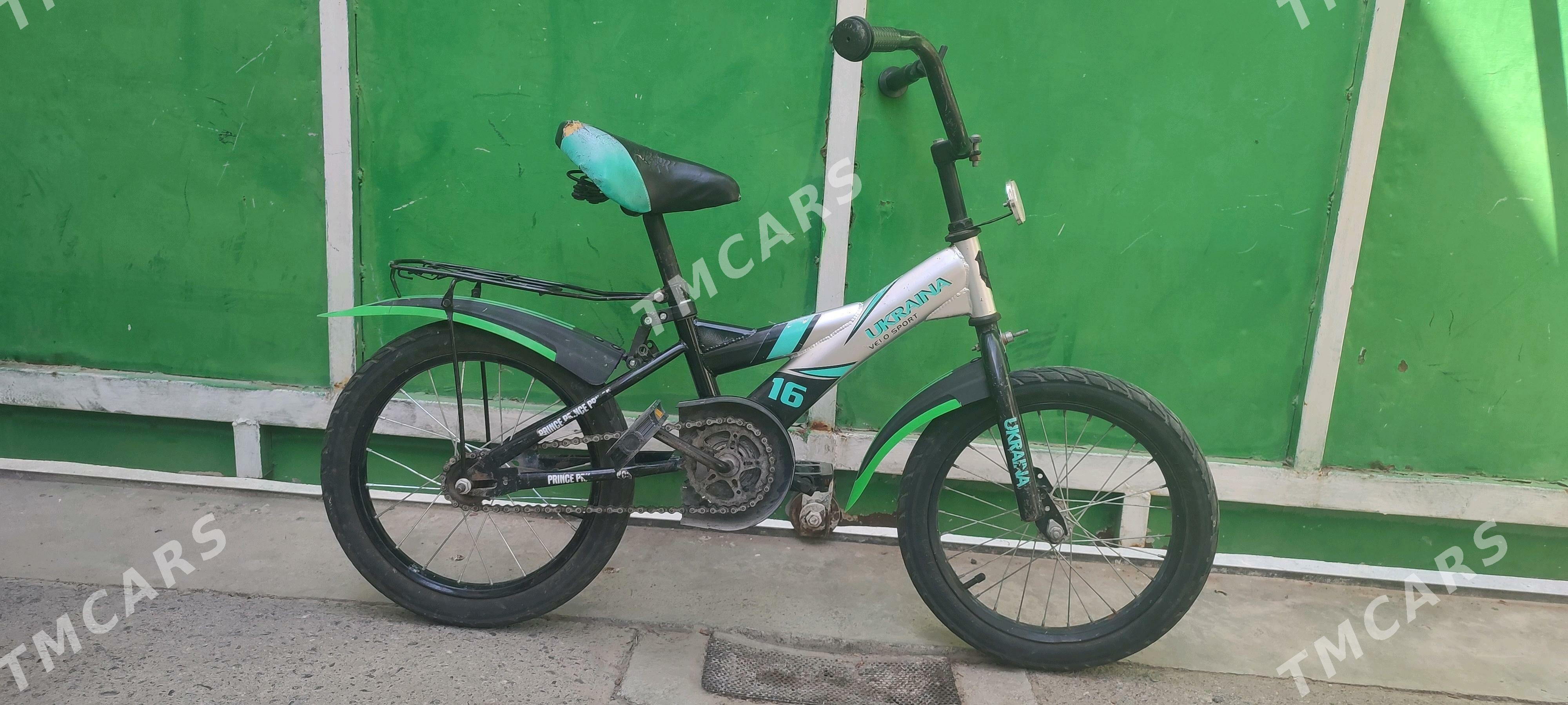 kici caga tigir тигир gyssagly - Bedew - img 2