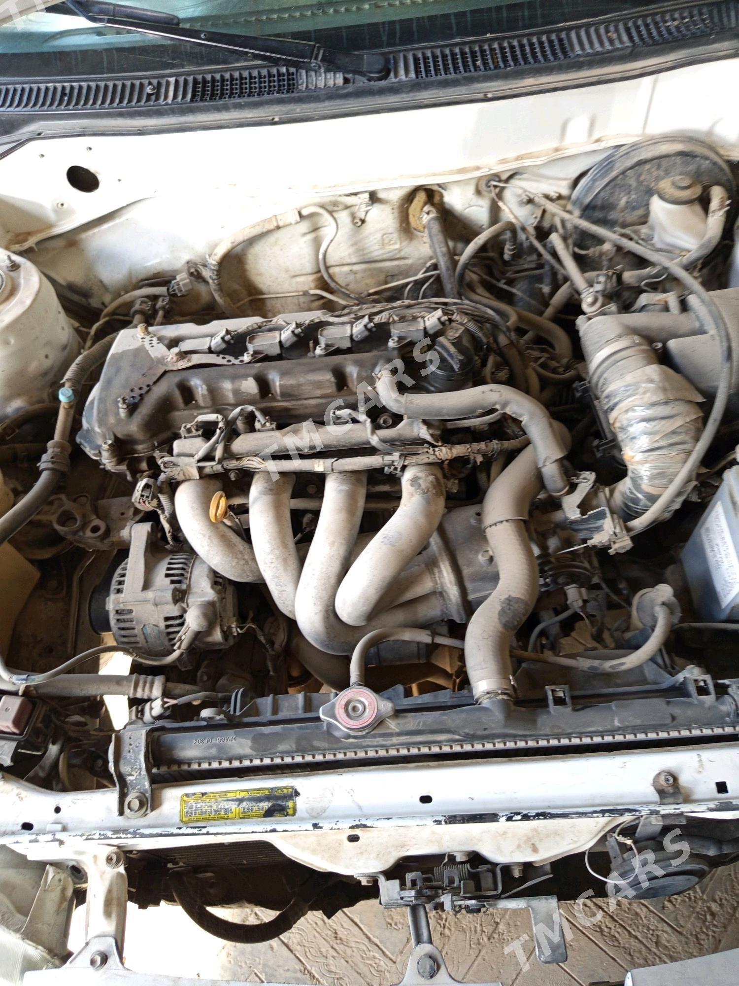 Toyota Corolla 2001 - 75 000 TMT - Kerki - img 2
