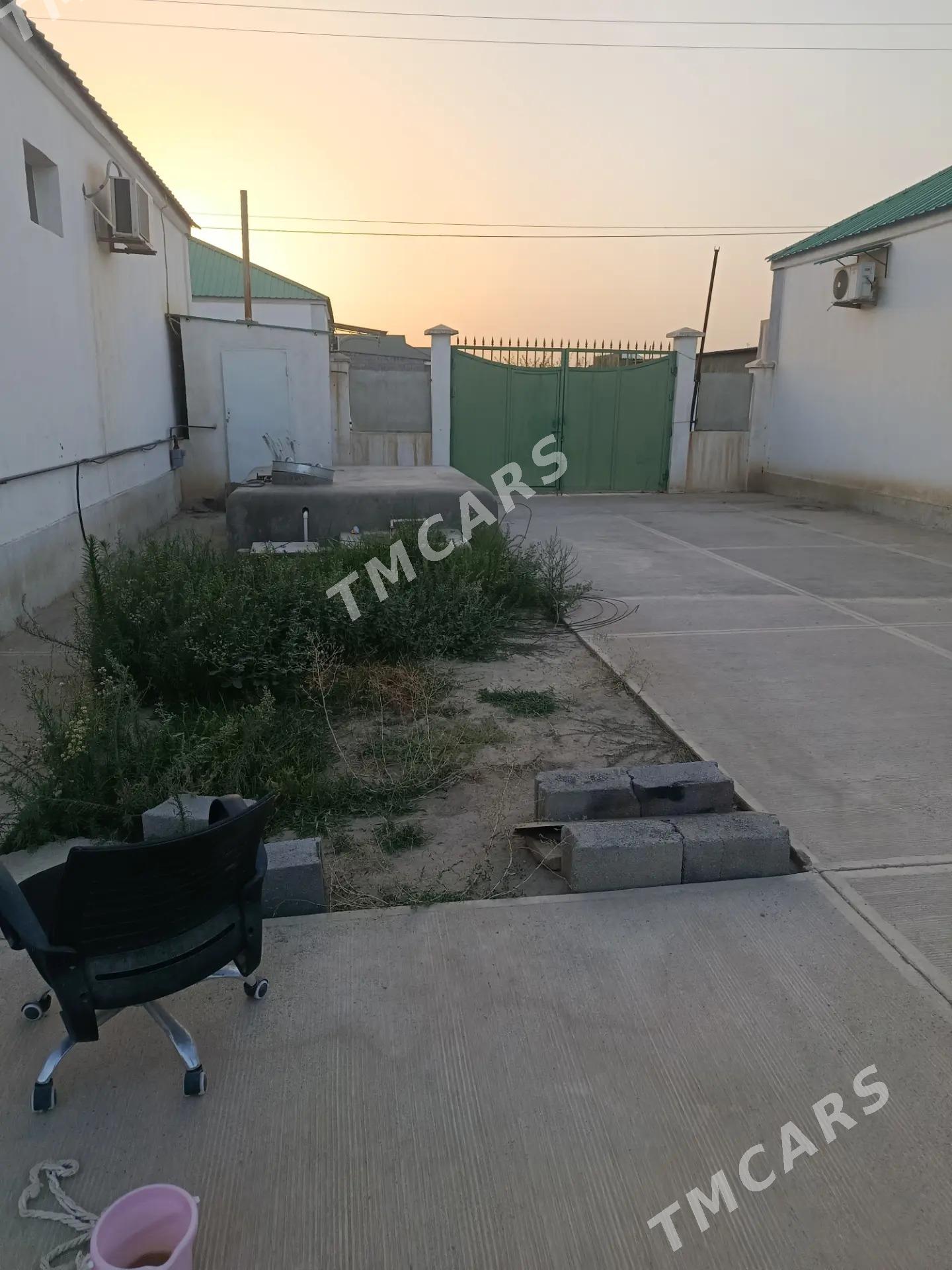 Gokdepe plon kateź - Гёкдепе - img 3