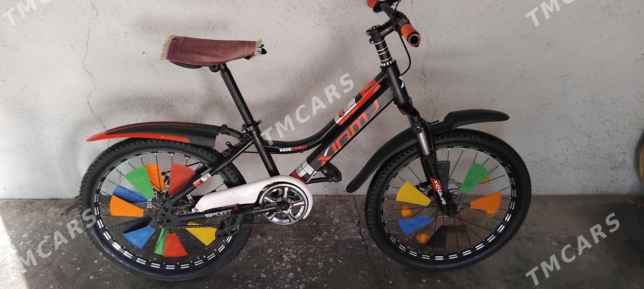 Tigir - Ak bugdaý etraby - img 2
