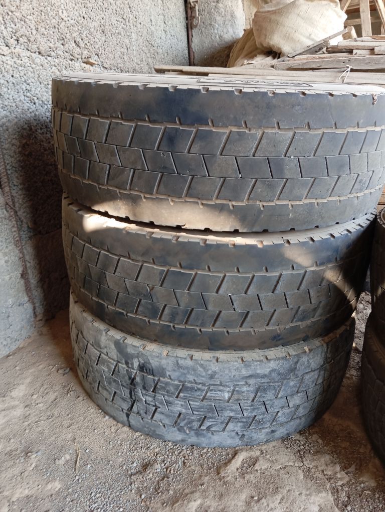 teker 500 TMT - Büzmeýin - img 2
