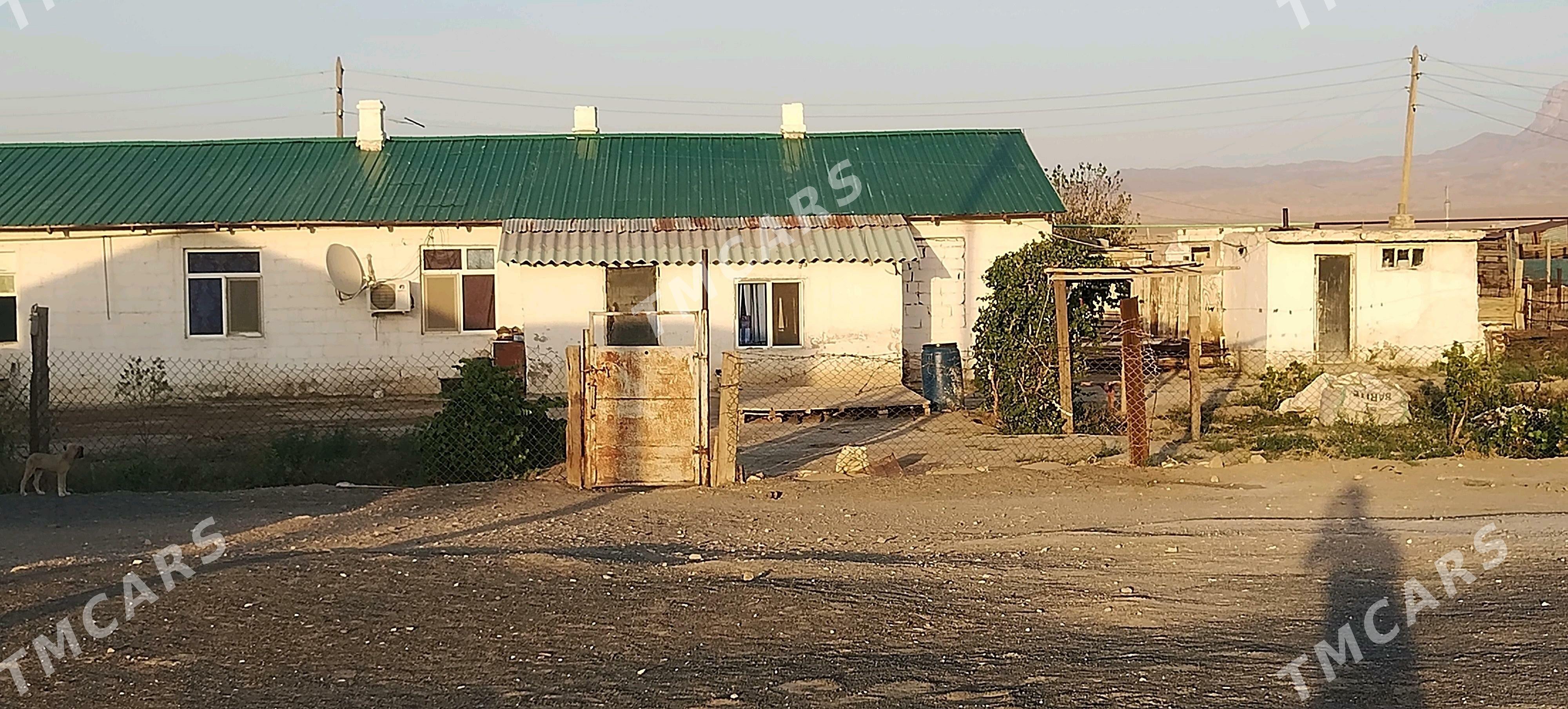 Jay - Jebel - img 3
