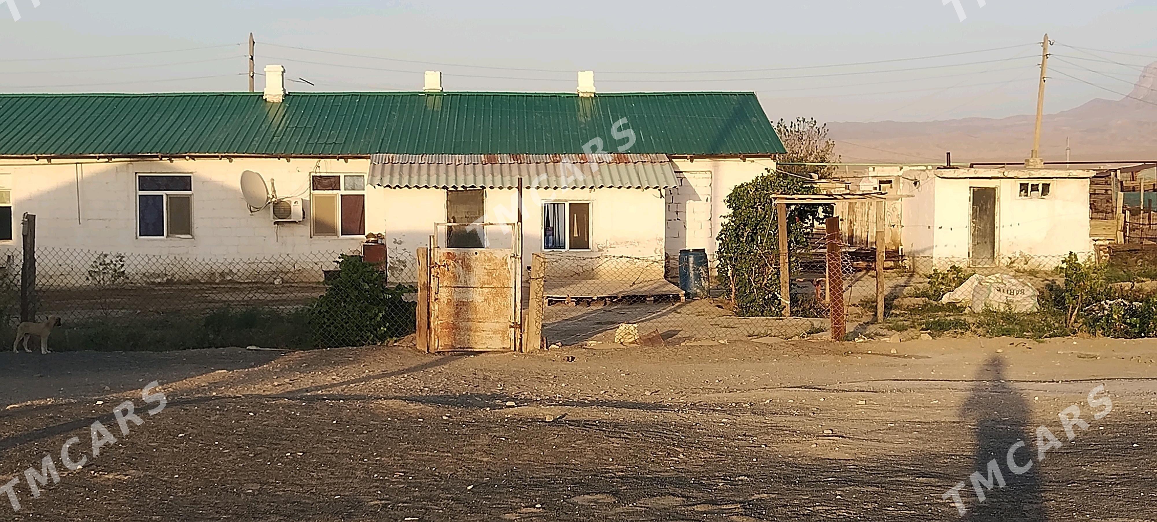Jay - Jebel - img 2