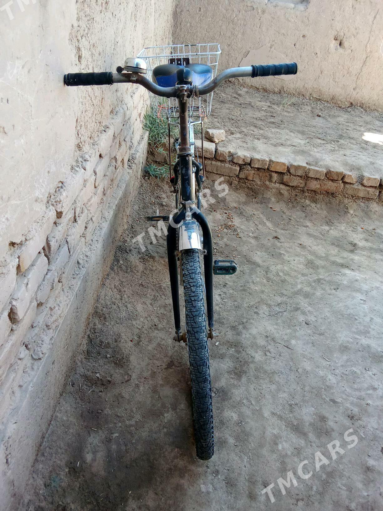 welosiped - Daşoguz - img 2
