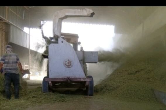 MTZ T-28 1992 - 65 000 TMT - Мары - img 9