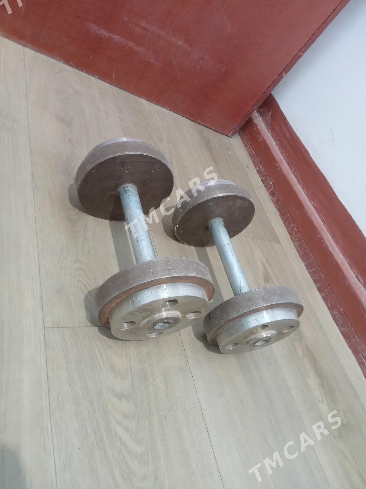 Gantel 10 kg - Mary - img 2