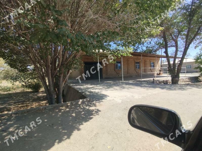bereket - Gubadag - img 2