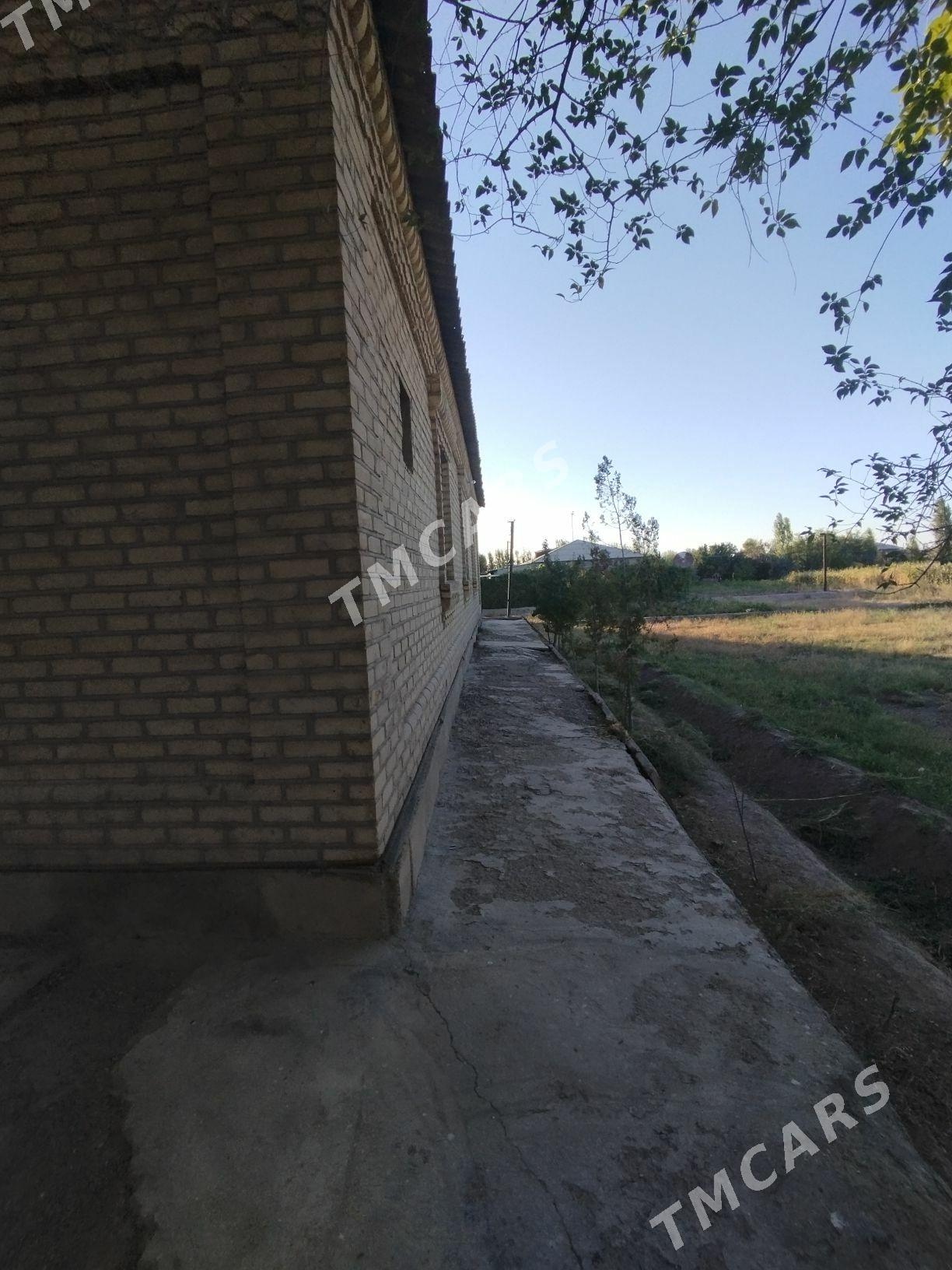 bereket - Gubadag - img 6