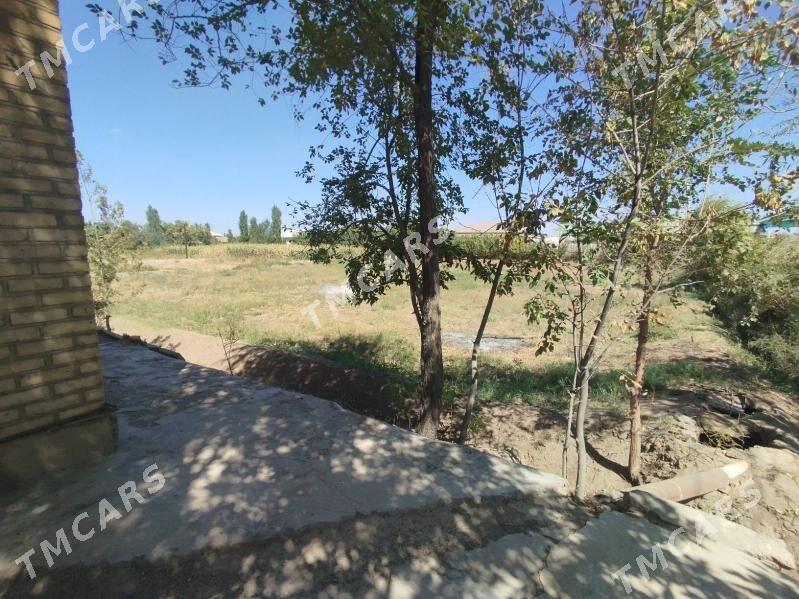 bereket - Gubadag - img 4