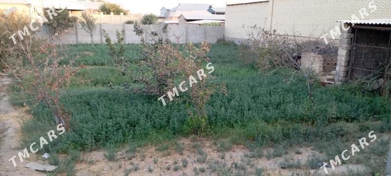 yorunja - Mary - img 1