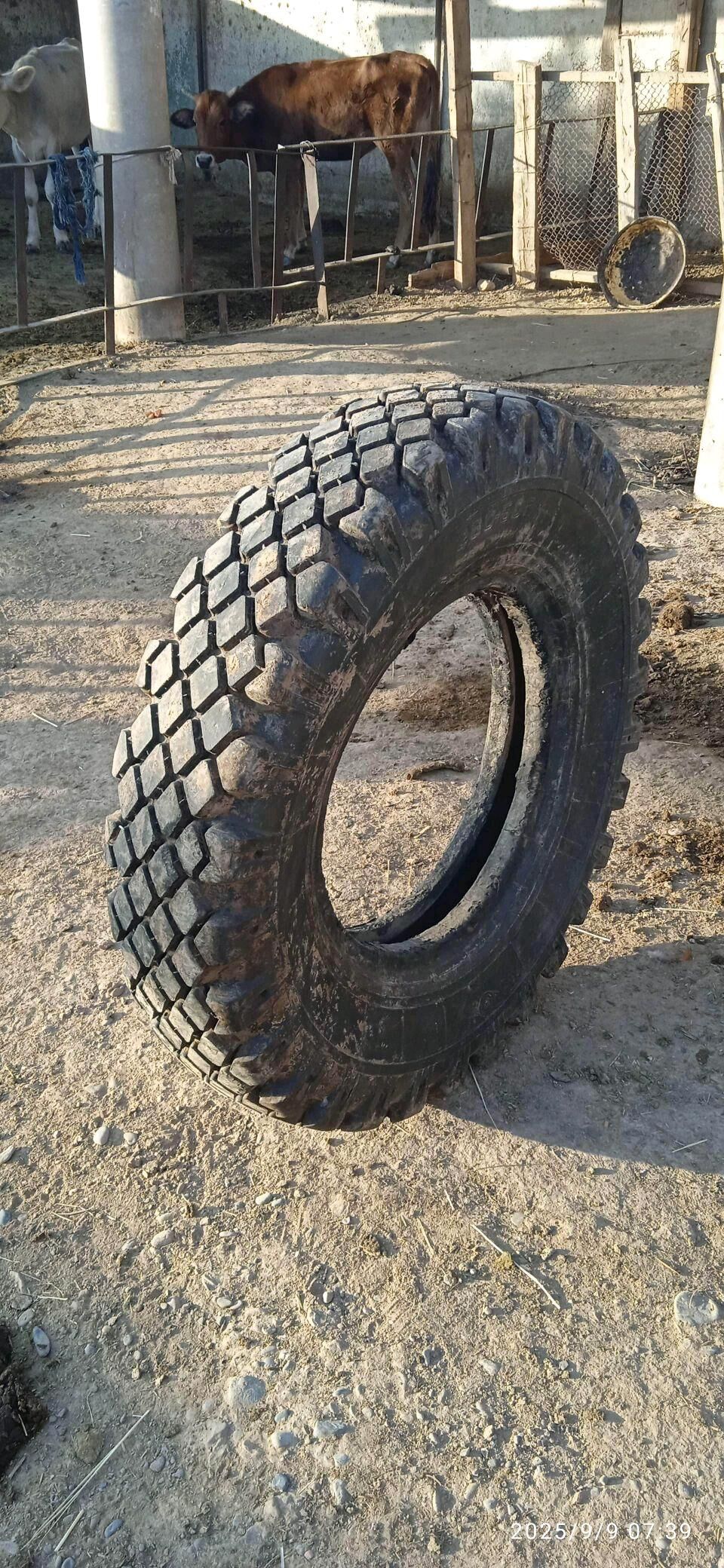 zil tigir 200 TMT - Tejen - img 2