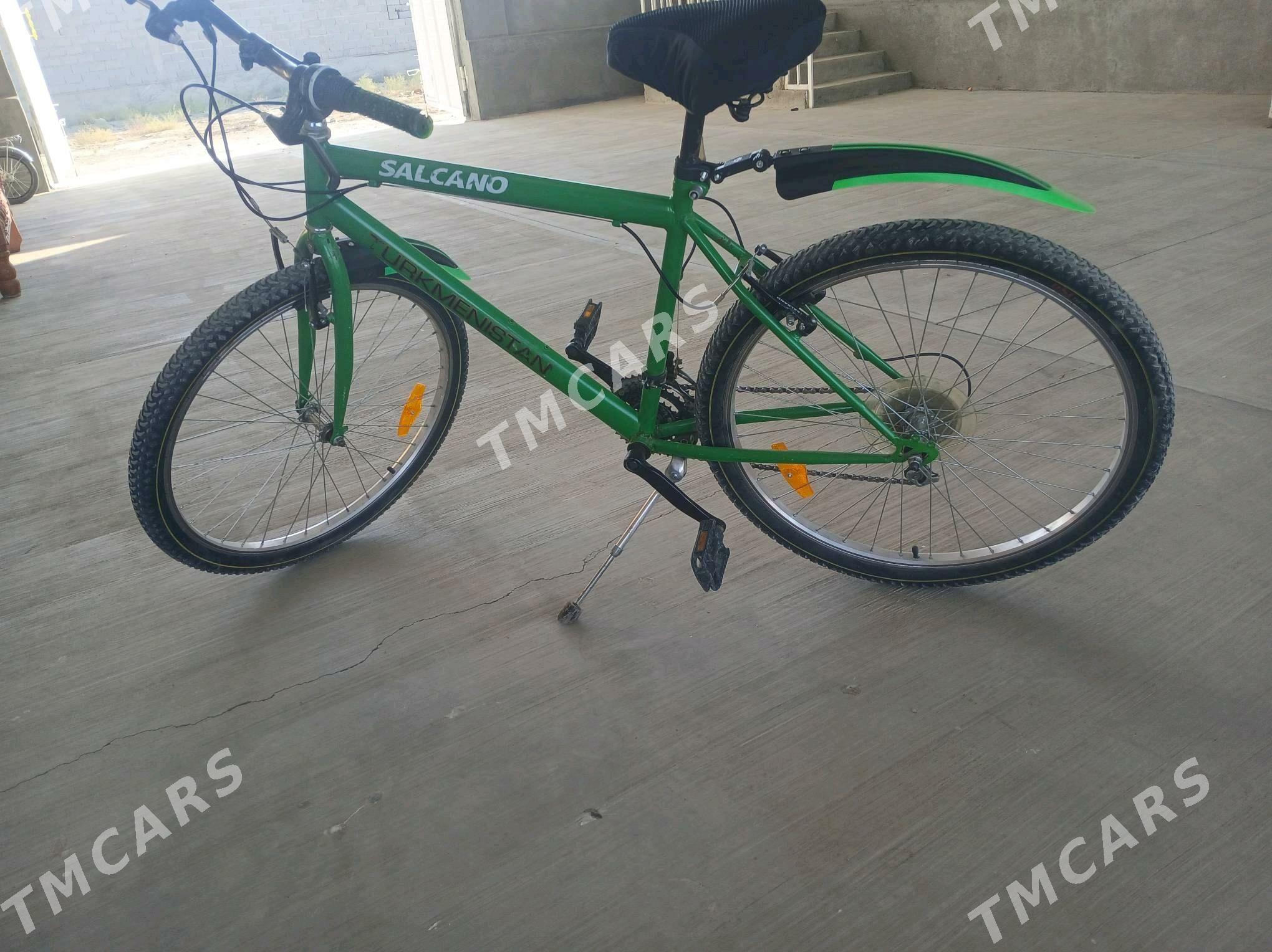 Turkmenistan tigir - Bäherden - img 2