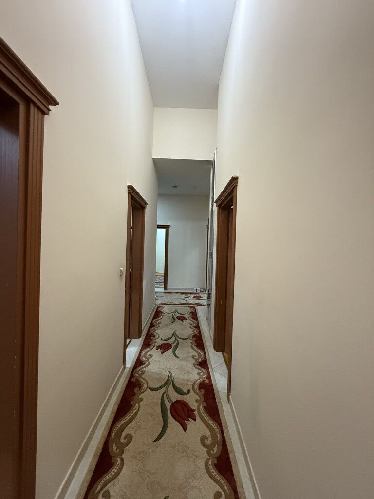 ЭЛИТКА МОЛОНЕПЕС 4КОМ - Aşgabat - img 10