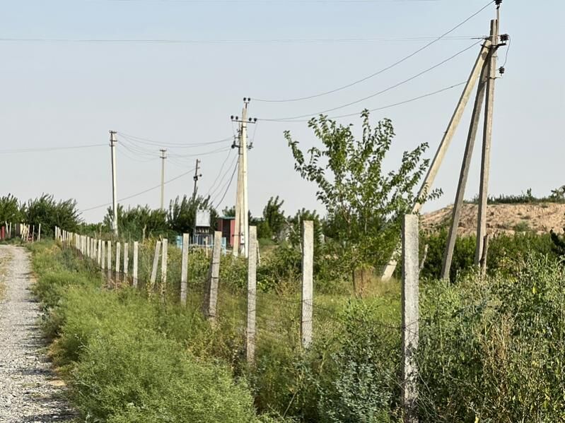 miweli bag onumçilik taýyn biz - Aşgabat - img 3