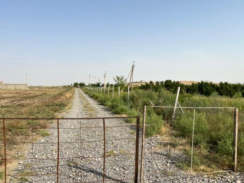 miweli bag onumçilik taýyn biz - Aşgabat - img 2