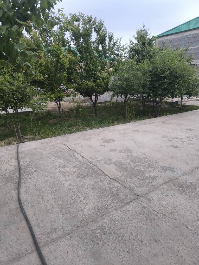 Gami pulan - Aşgabat - img 4