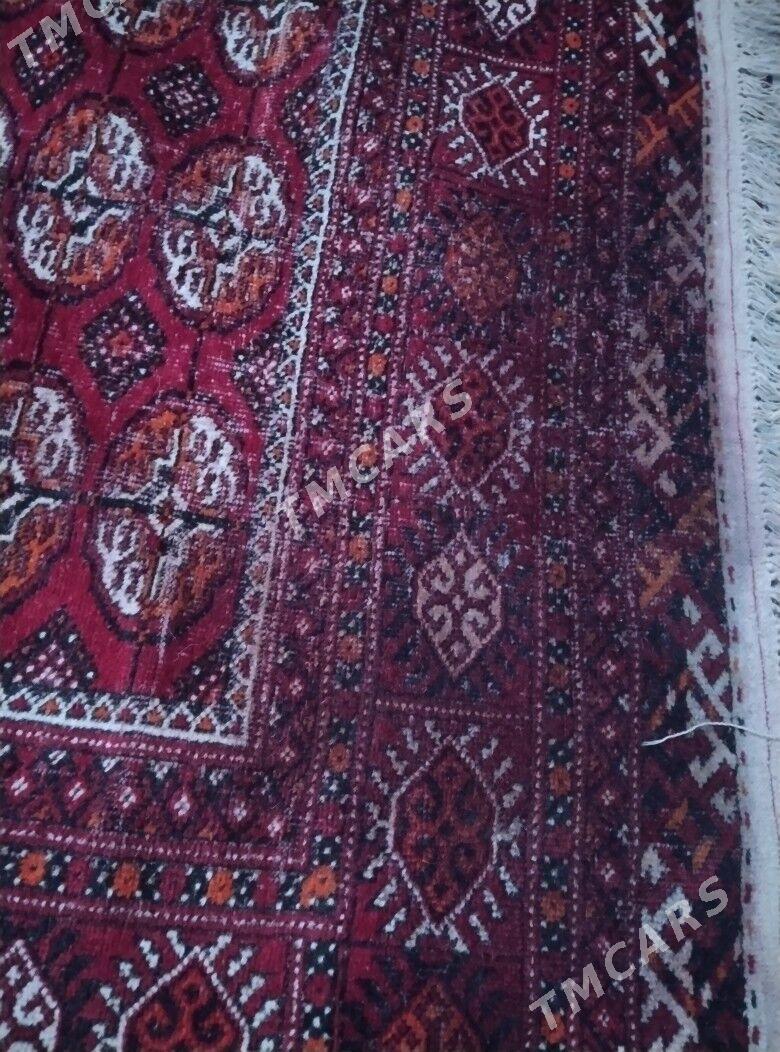 Turkmen haly - Aşgabat - img 2