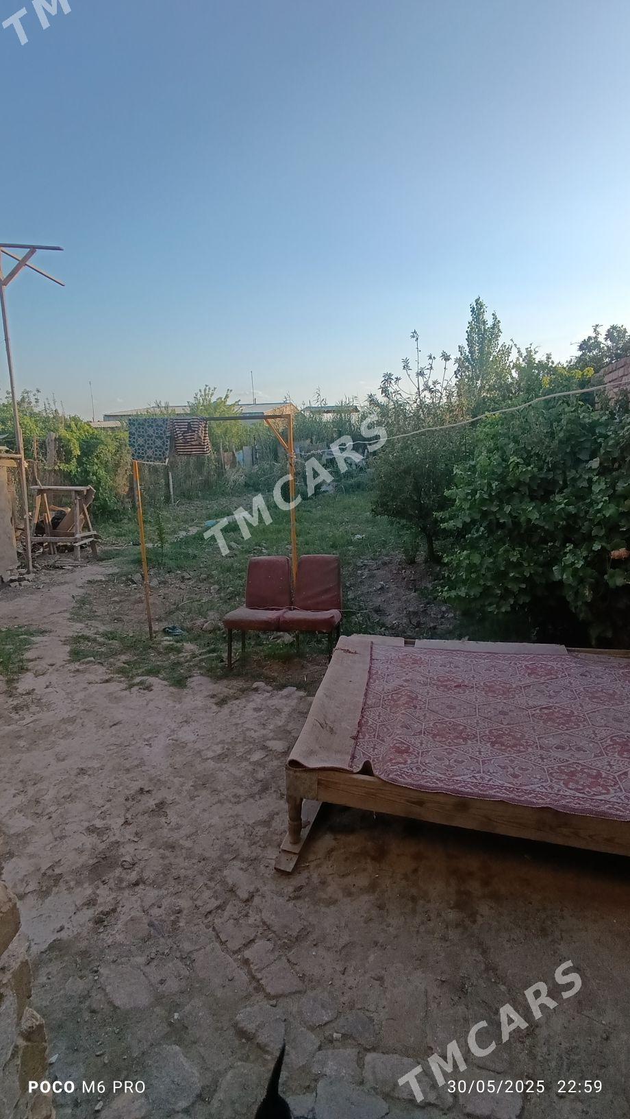 Satlyk Daça - Türkmenabat - img 4