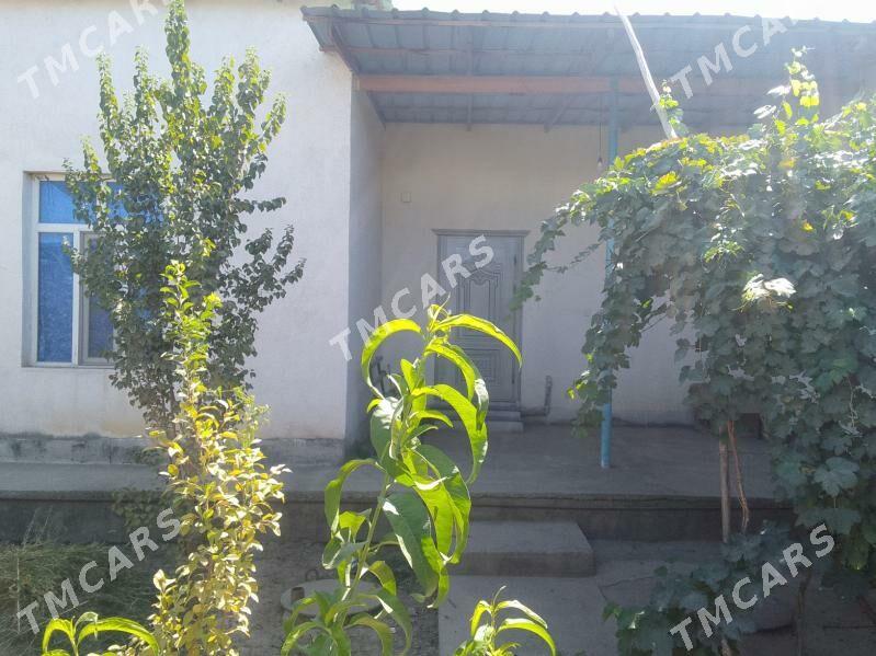 Kwartira - Daşoguz - img 1