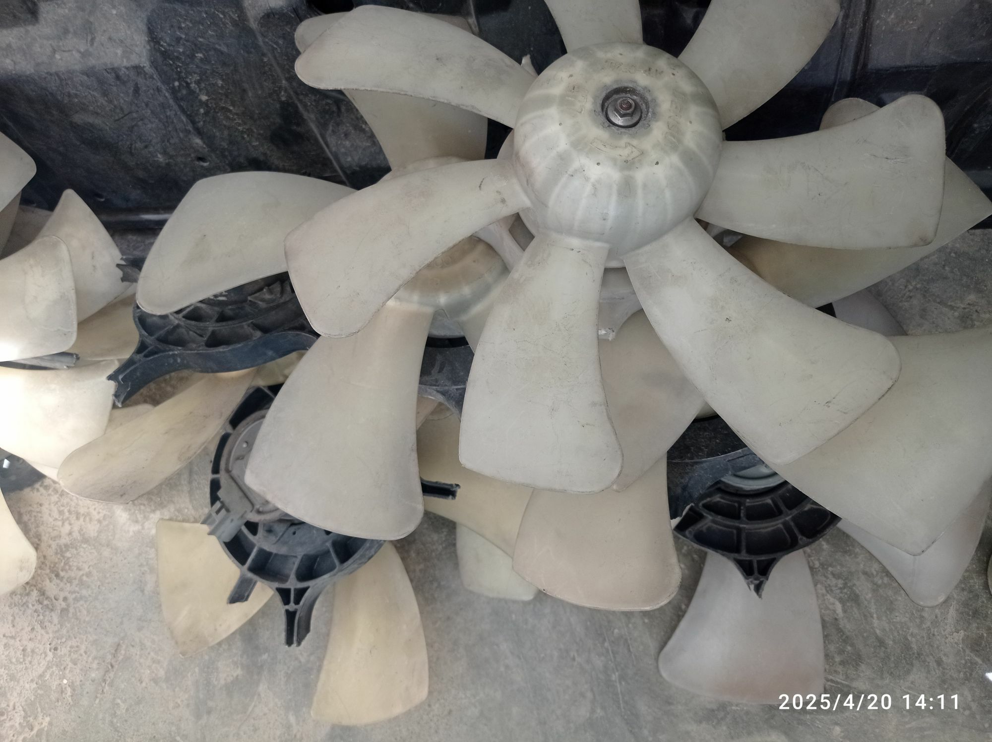 Matorçik morda 270 TMT - Ашхабад - img 2