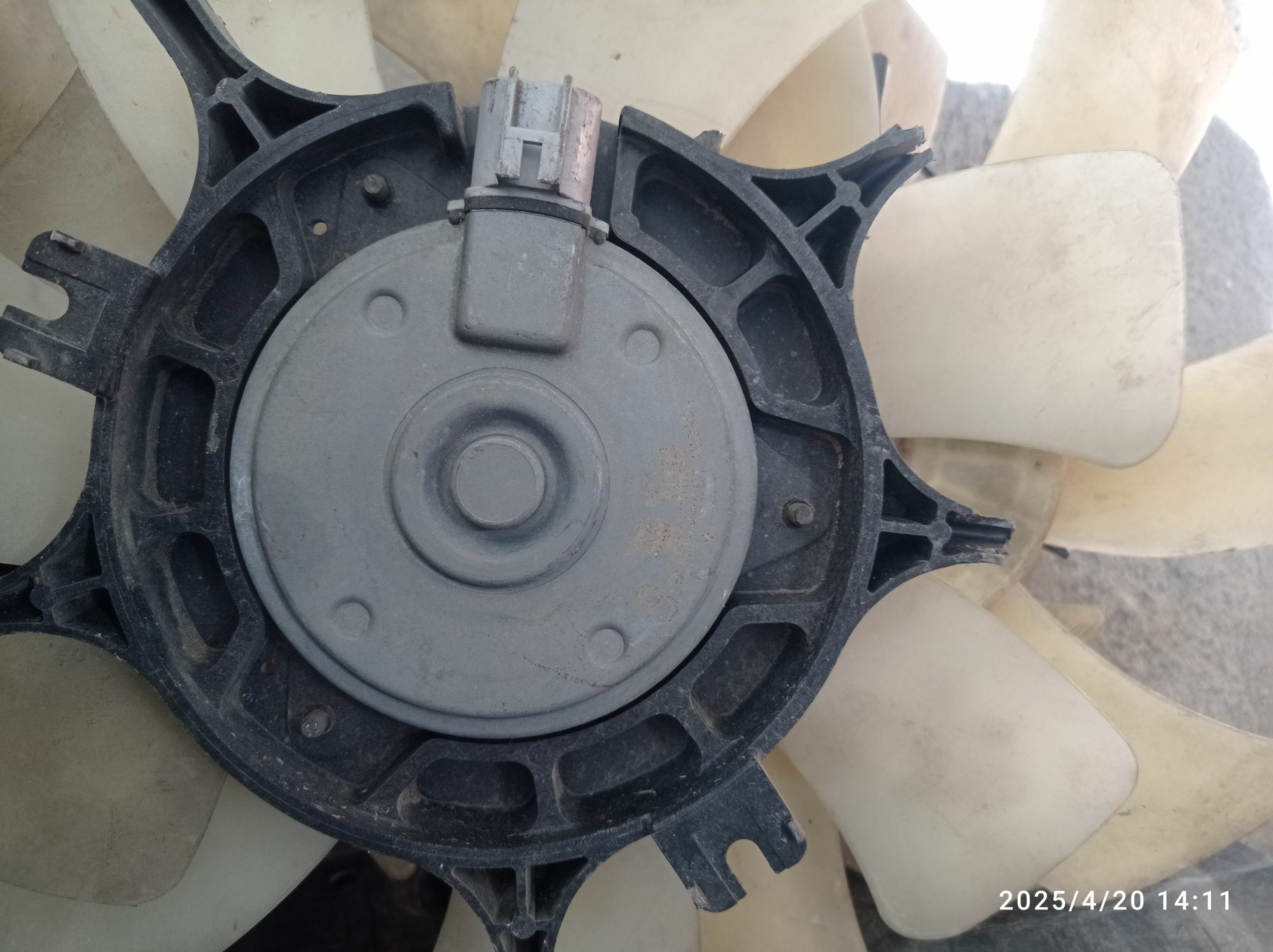 Matorçik morda 270 TMT - Ашхабад - img 3