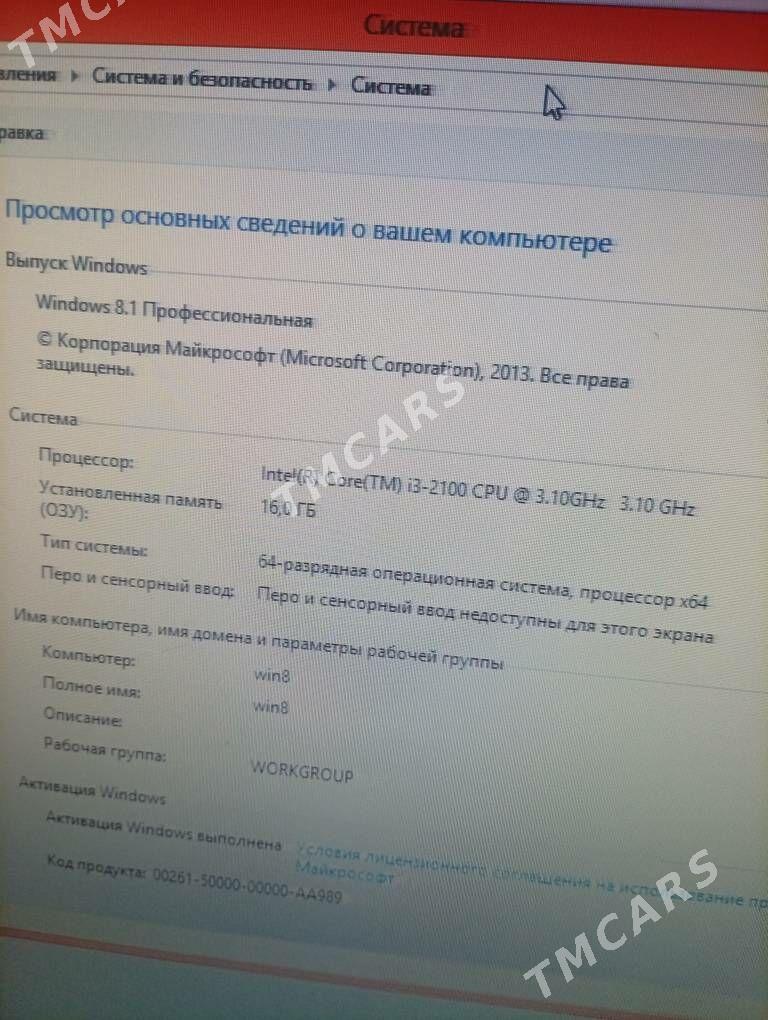damashny kampitor - Койтендаг - img 2