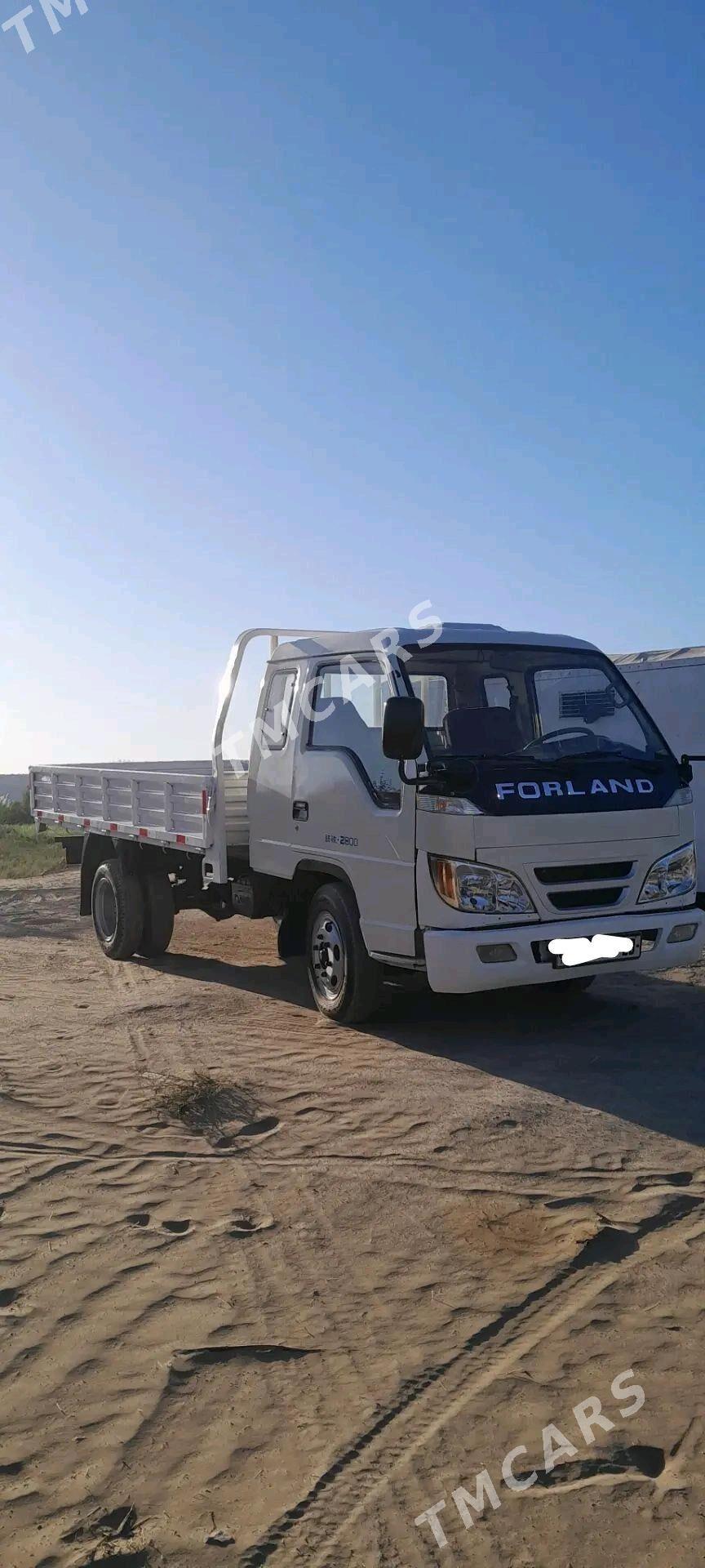 Forland H2 2009 - 80 000 TMT - Мары - img 4
