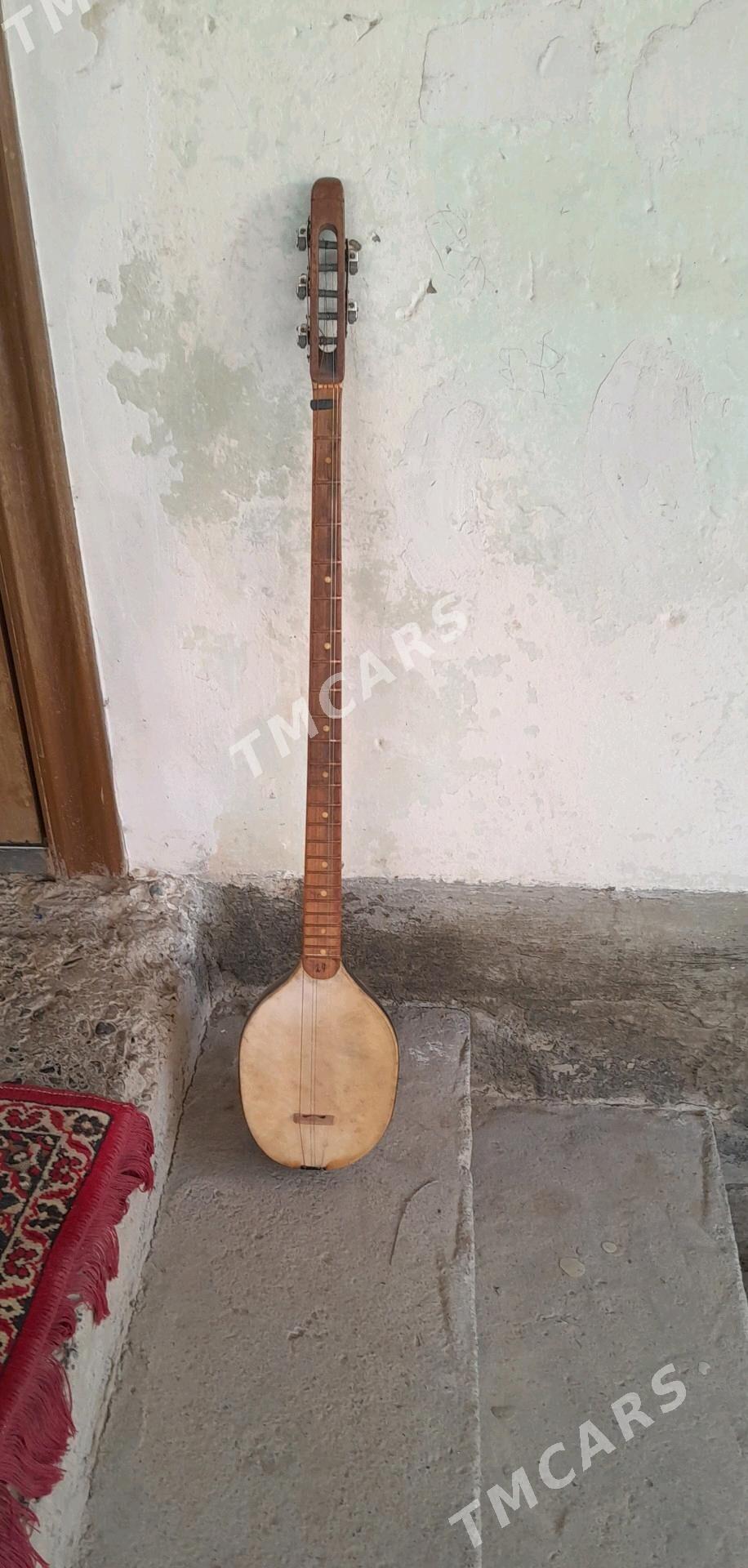Plektra Dutar (Tar) - Ýaşlyk - img 1