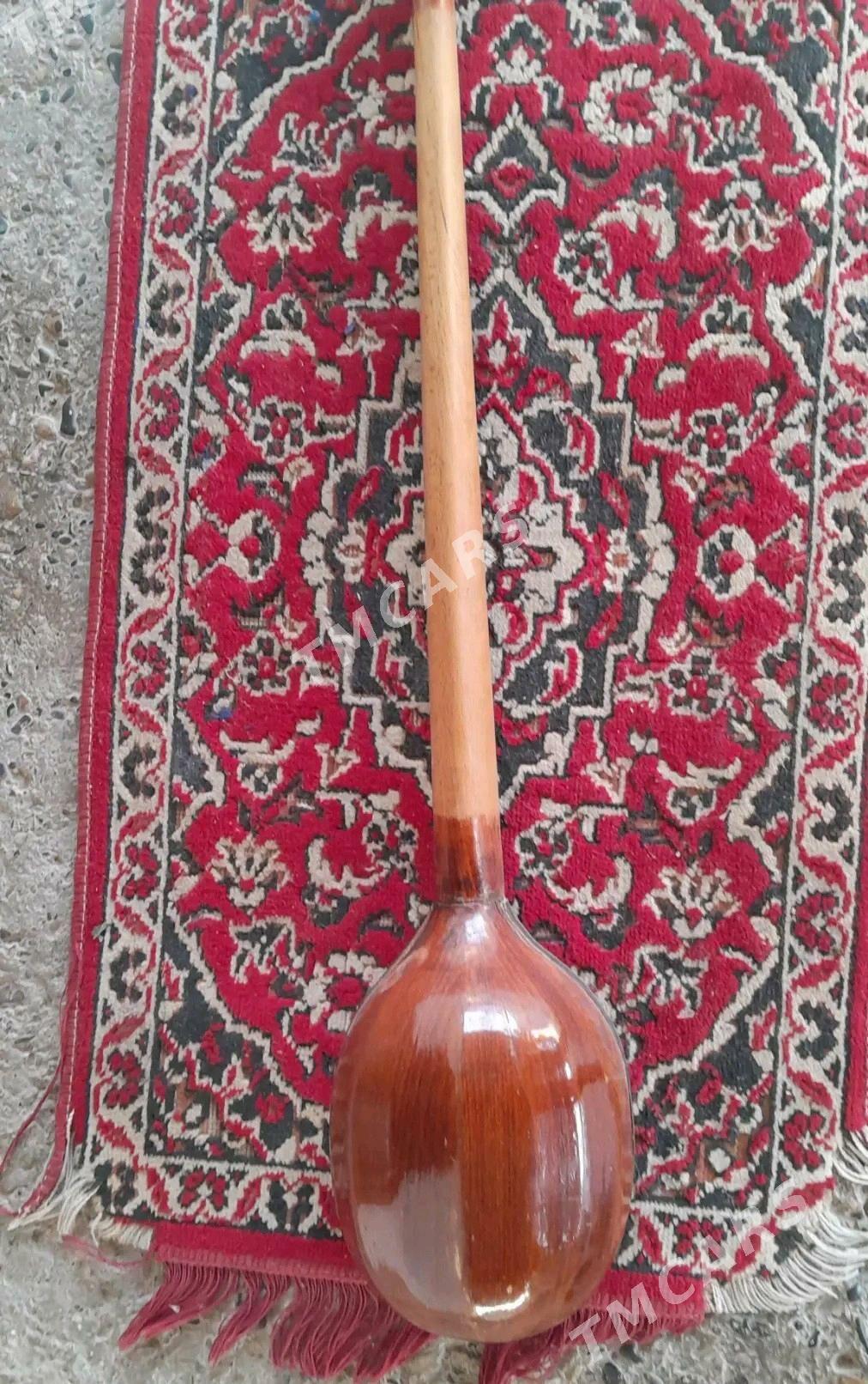Plektra Dutar (Tar) - Ýaşlyk - img 5
