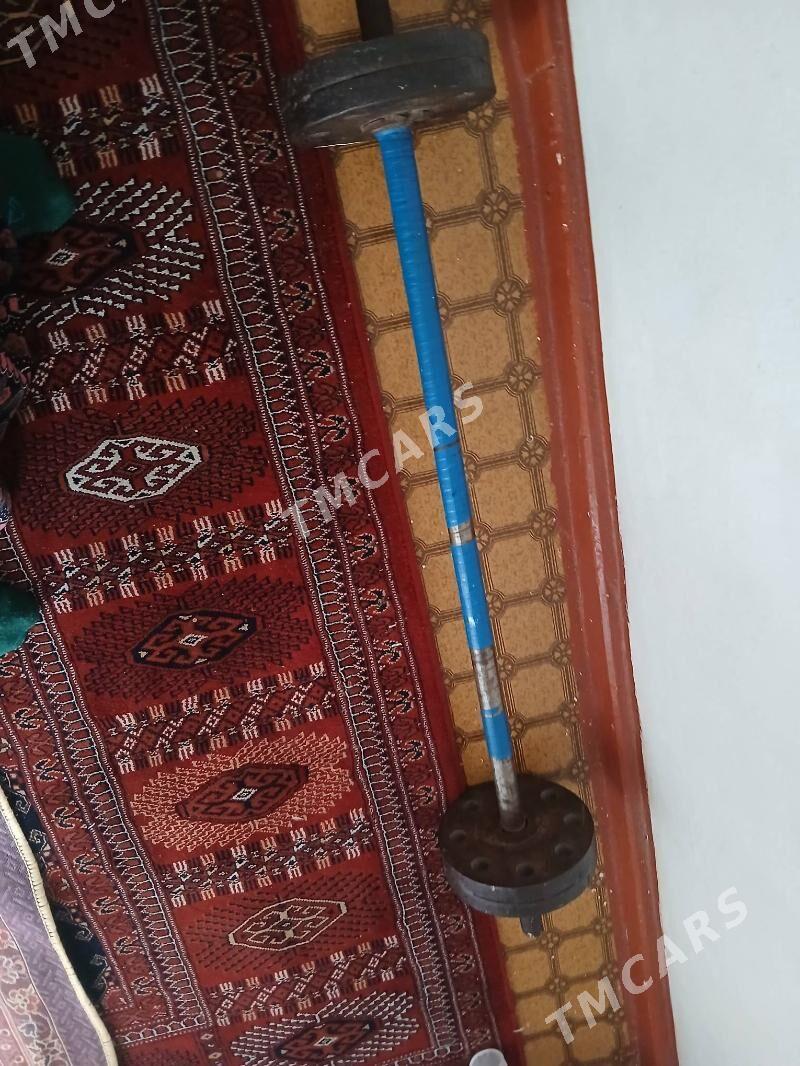 Штанга - Türkmenbaşy - img 2