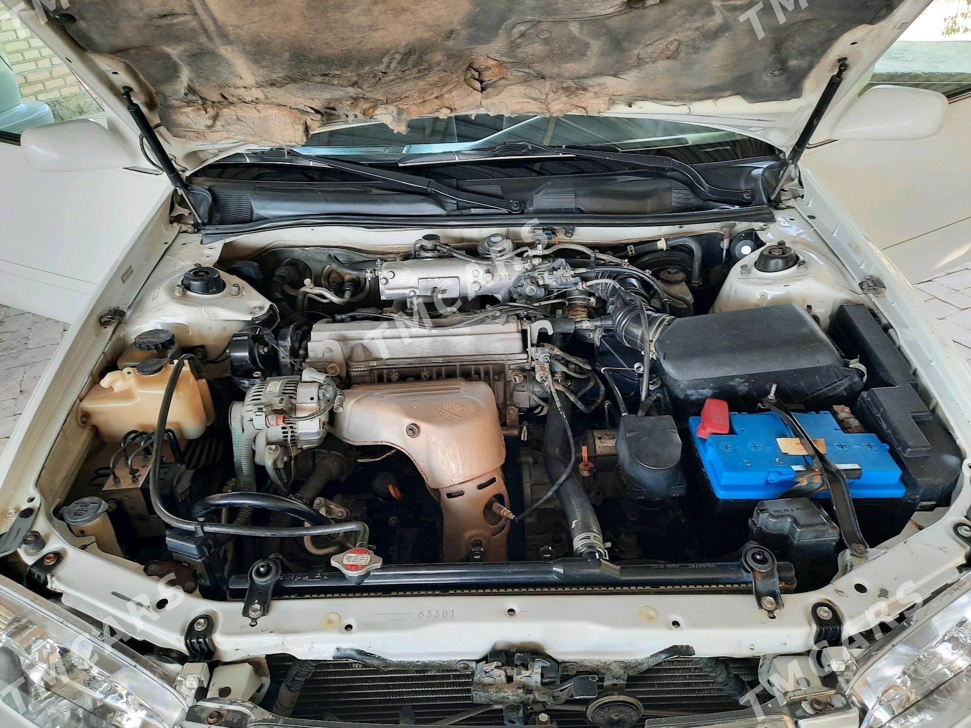Toyota Camry 2001 - 138 000 TMT - Байрамали - img 4