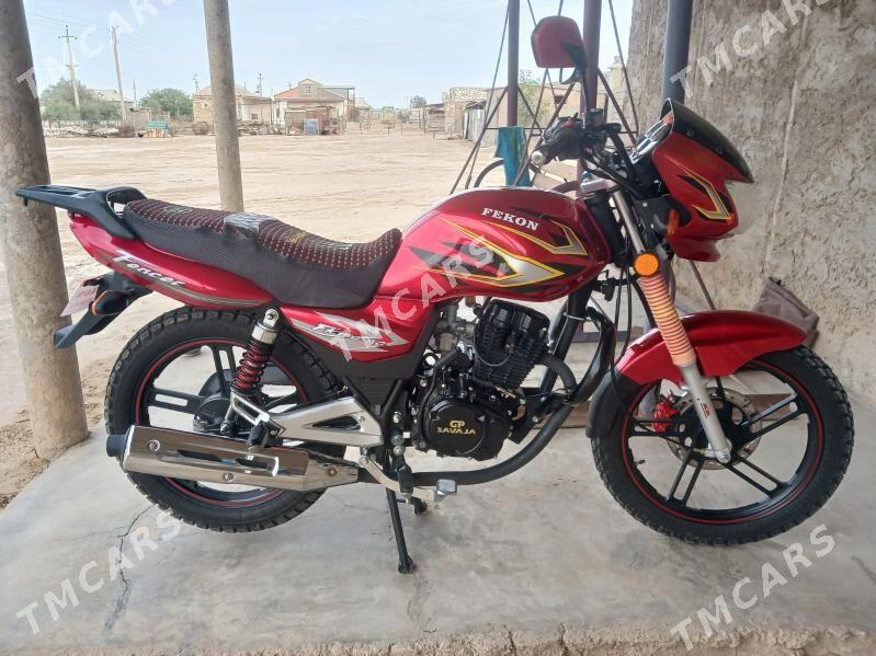 Fekon FK150-8G 2025 - 16 000 TMT - Этрек - img 3