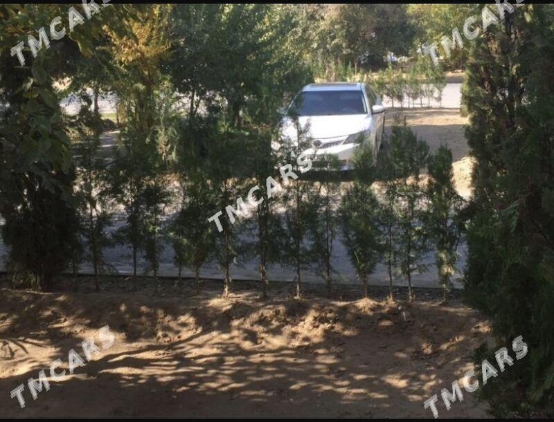 9mkr 1 etaz 3 komnat - 9 mkr - img 3