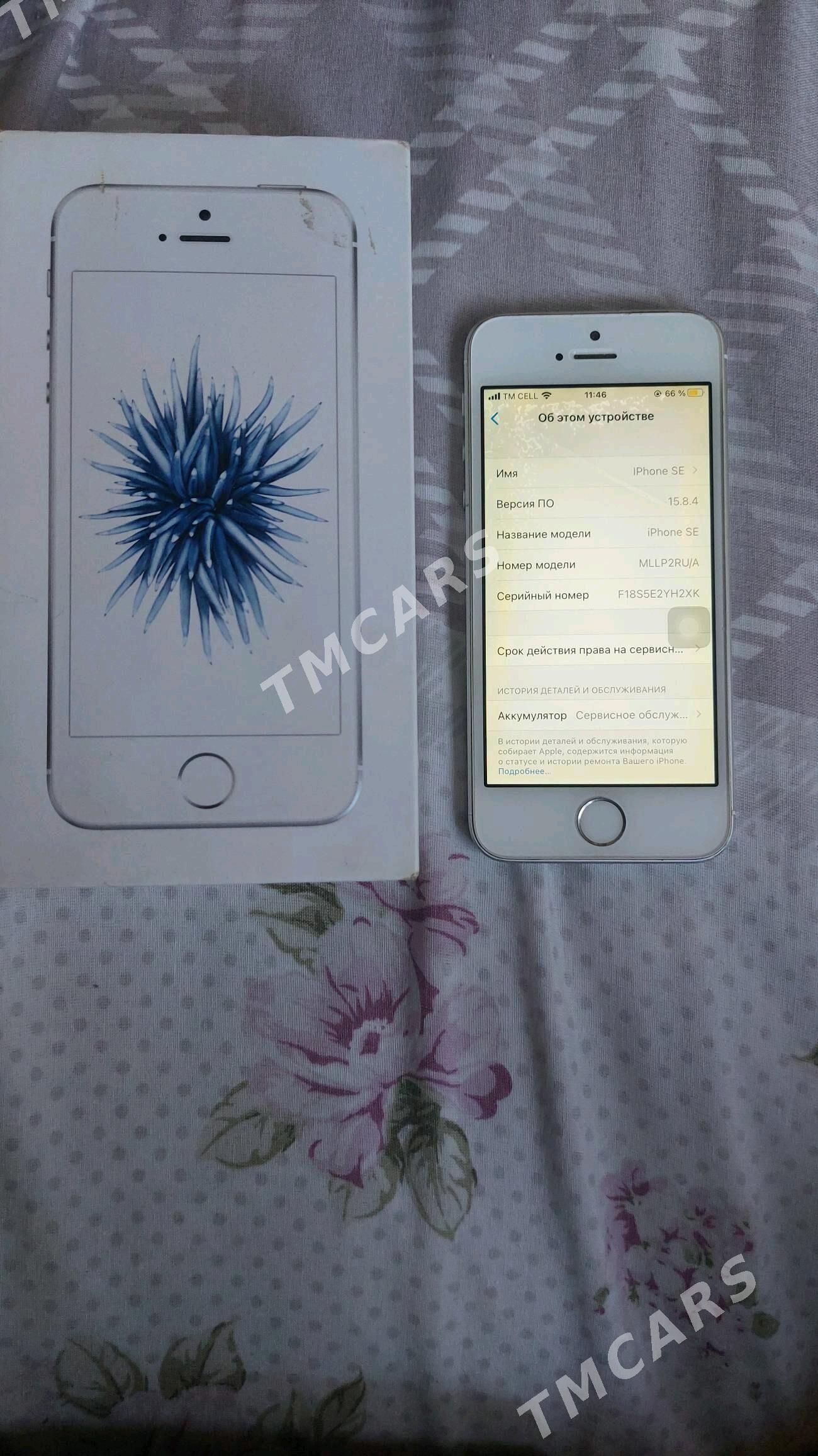 iphone SE - Daşoguz - img 3