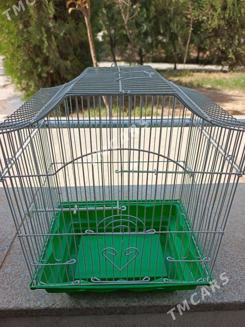 Kiletka - Aşgabat - img 2