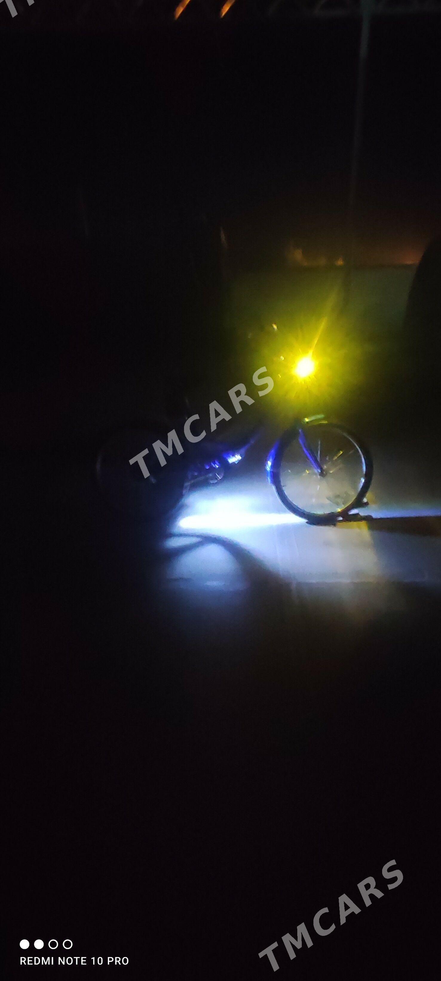 tigir - Bäherden - img 2