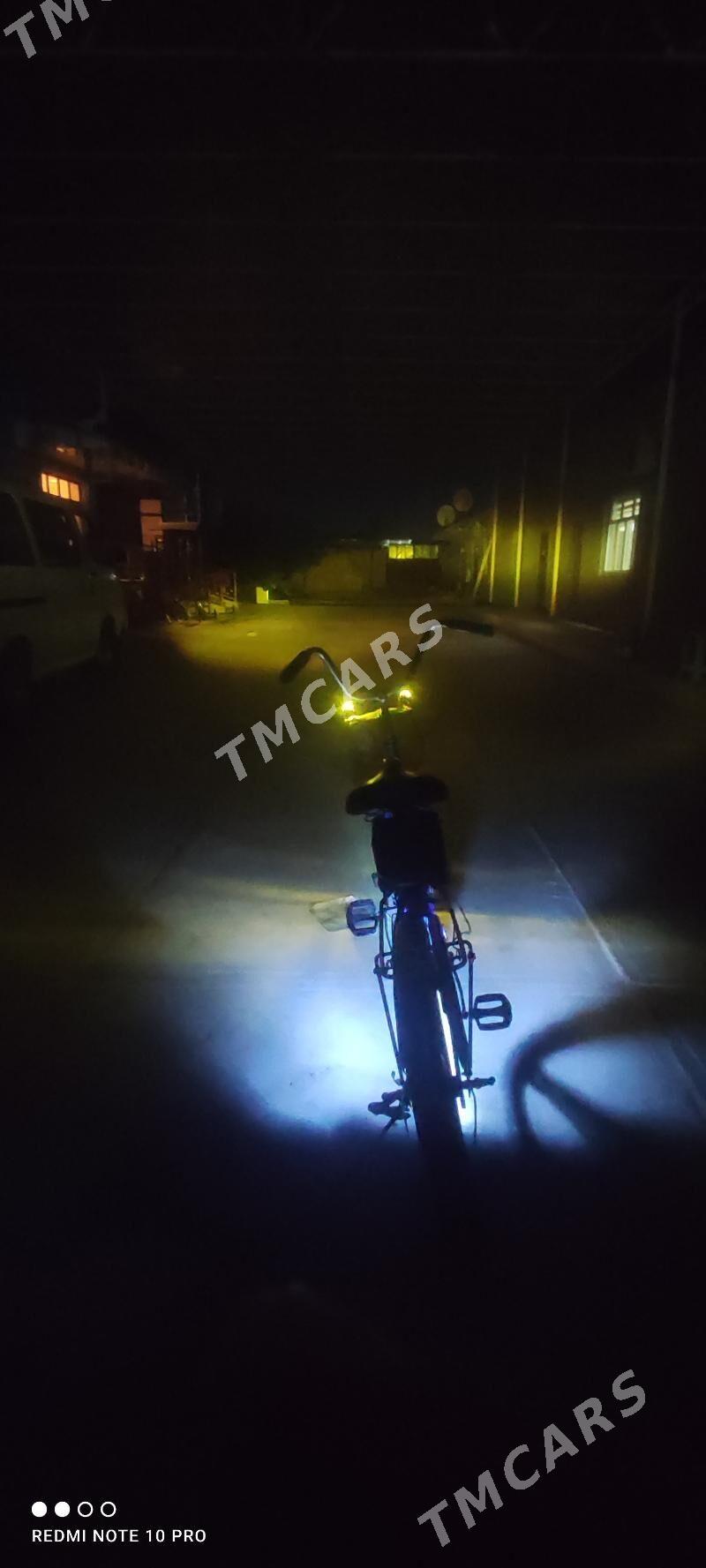 tigir - Bäherden - img 5