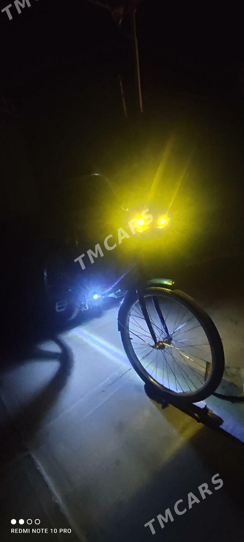 tigir - Bäherden - img 3