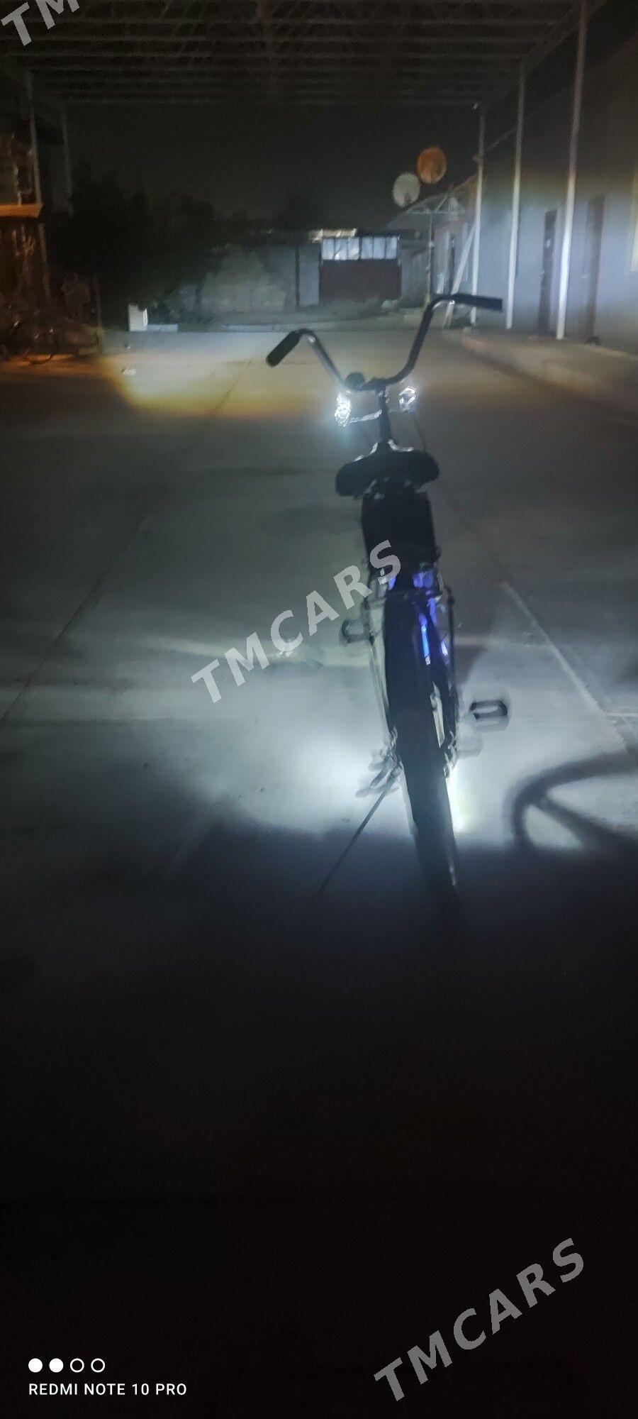 tigir - Bäherden - img 1