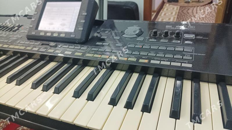 Korg PA 3X - Aşgabat - img 2