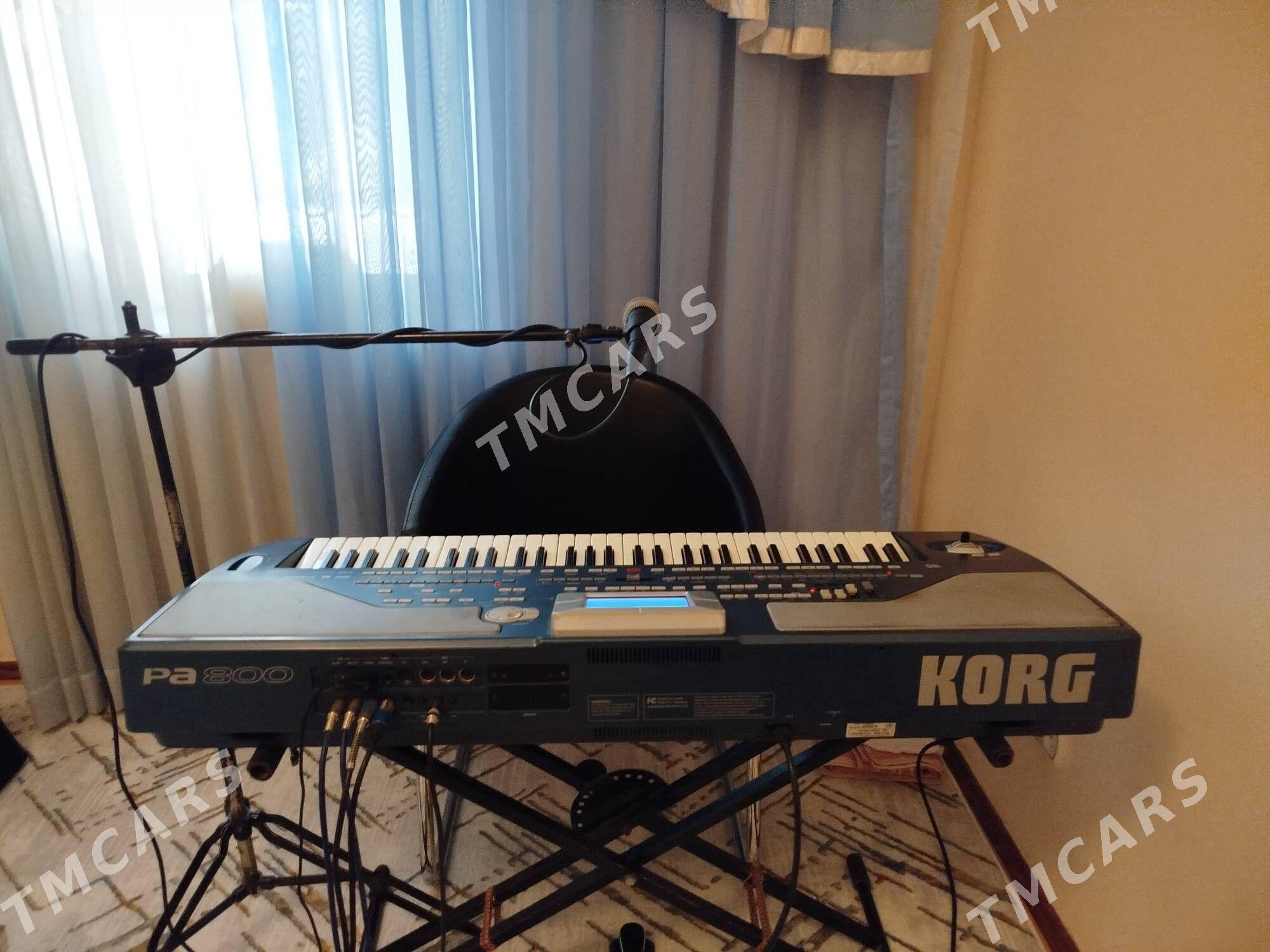 KORG PA800 GATY GOWY - Гаудан "А" - img 2