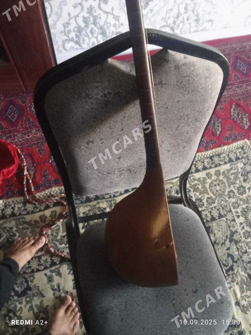 Dutar - Daşoguz - img 3