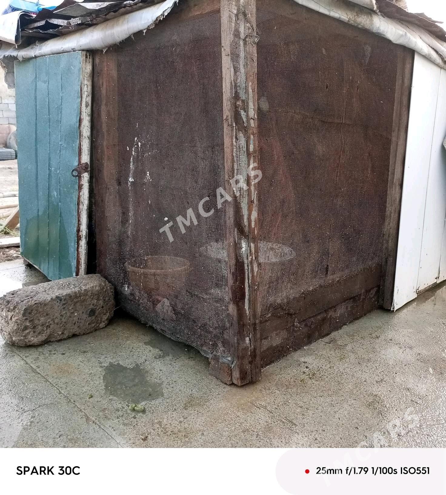 ketek - Анев - img 2