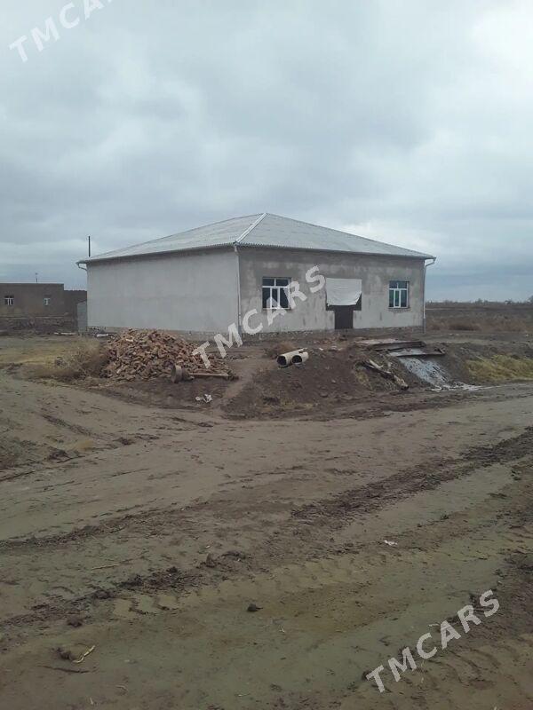 ucaska jay - Дашогуз - img 9
