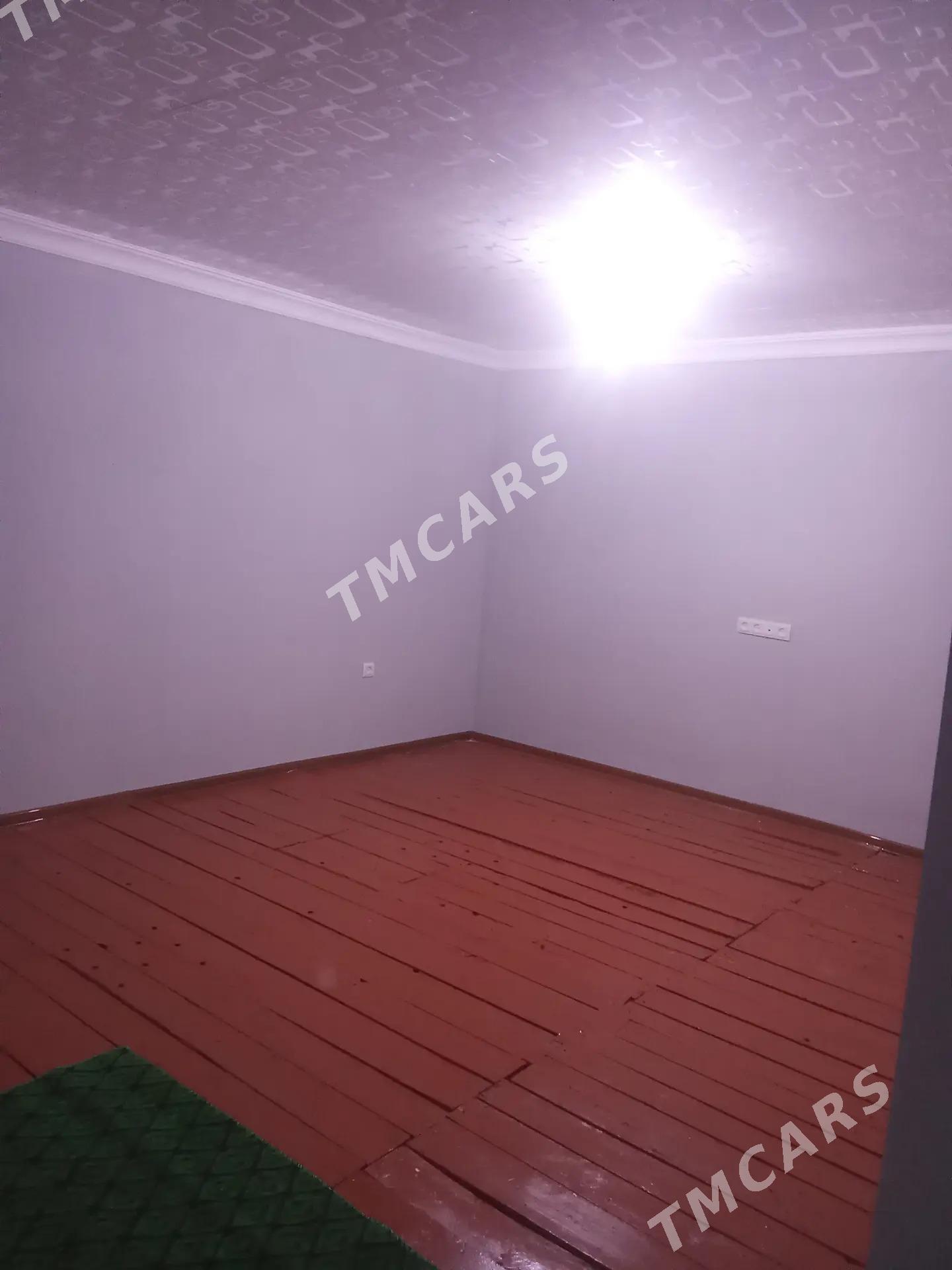 satlyk jay - Murgap - img 2